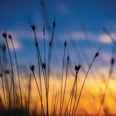 4 Bedroom Awesome In Vakantiehuis