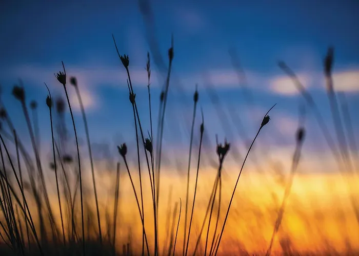 4 Bedroom Awesome In בית נופש